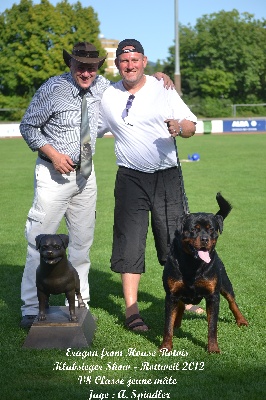 De chatoisillon - Klubsieger show à Rottweil